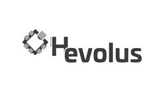 Hevolus solutions transform the buying process into an engaging and emotionally rewarding experience.